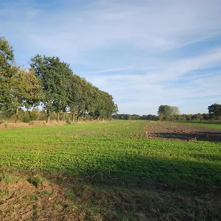 Am Moor, 35629 Uplengen