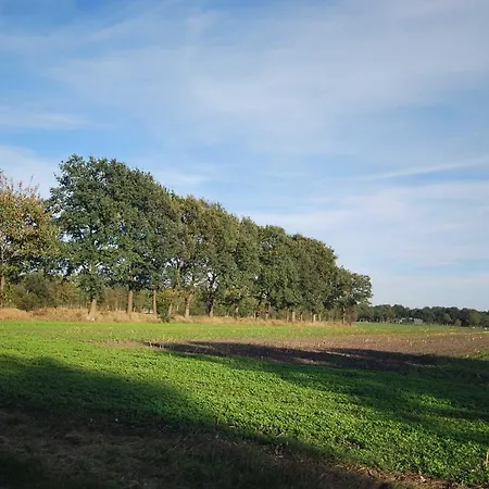 Am Moor, 35629 * Uplengen