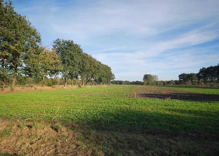 Am Moor, 35629 Uplengen