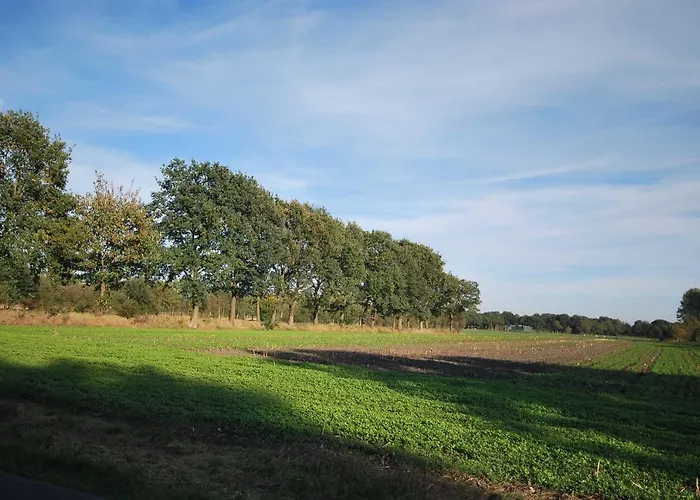 Am Moor, 35629 * Uplengen