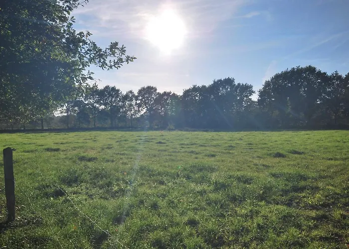 Apartamento Am Moor, 35629